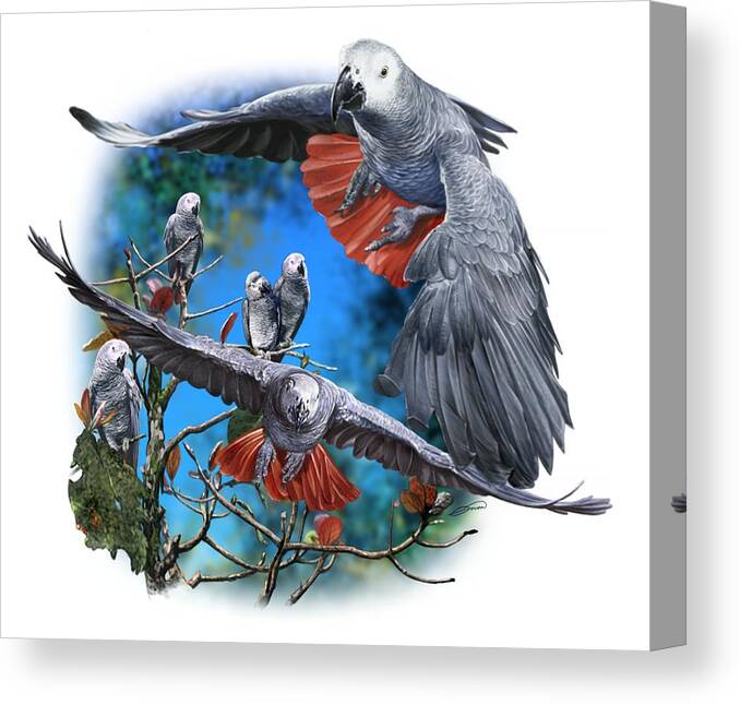 African Canvas Print featuring the digital art African Grey Parrots #1 by Owen Bell
