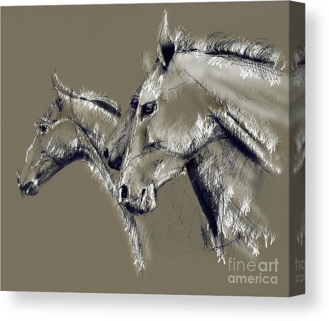 Horse Canvas Print featuring the drawing Horse study #1 by Daliana Pacuraru