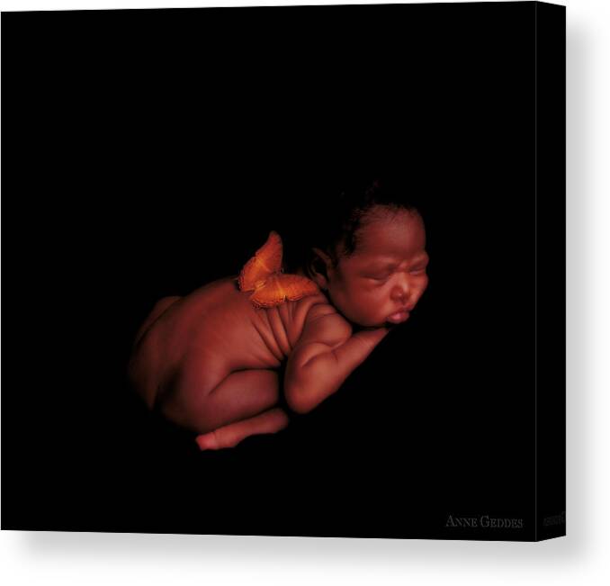 Baby Canvas Print featuring the photograph Kwasi by Anne Geddes