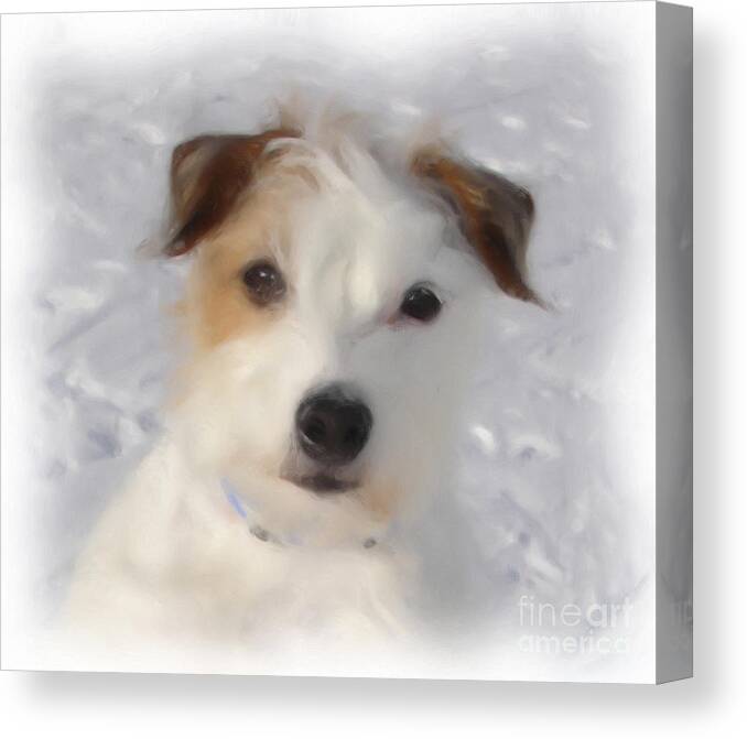 Jack Russel Terrier Canvas Print featuring the painting Snow White #1 by Jan Daniels