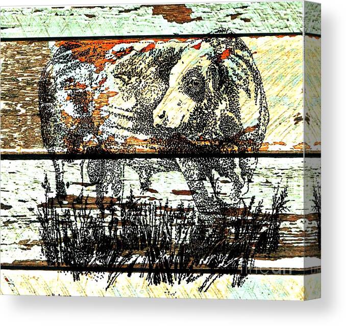 Simmental Bull Canvas Print featuring the drawing Simmental Bull #3 by Larry Campbell