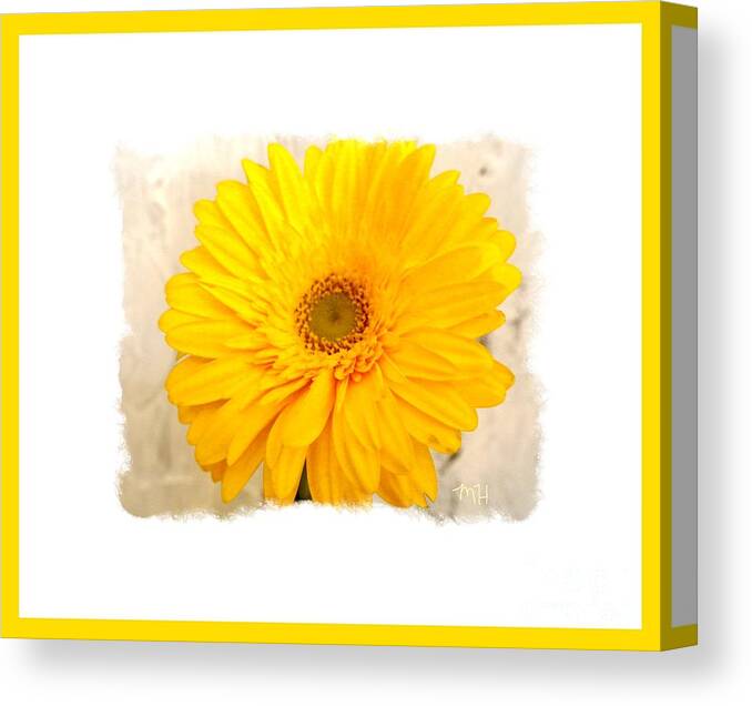 Photo Canvas Print featuring the photograph A Grand Yellow Gerber by Marsha Heiken