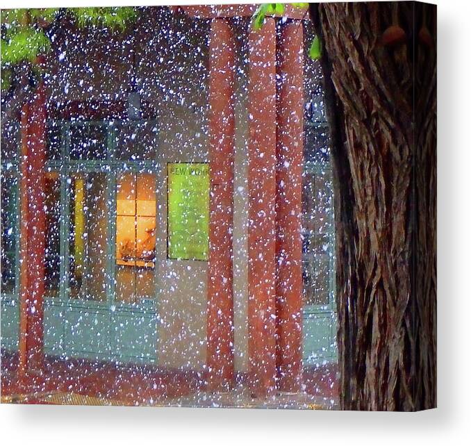 Art Canvas Print featuring the photograph Art gallery Snow Scene by Ted Keller