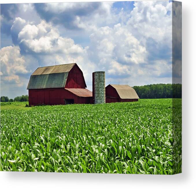 Barn Canvas Print featuring the photograph Barn in the Corn by David Arment