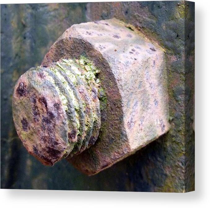 Rust Canvas Print featuring the photograph Big rust by Lukasz Ryszka