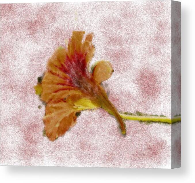 Artistic Canvas Print featuring the photograph Bindweed paiterly 1. by Leif Sohlman