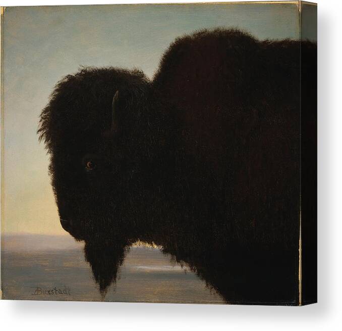 Painting Canvas Print featuring the painting Buffalo Head by Celestial Images