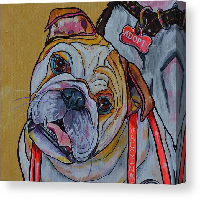Bulldog Canvas Print featuring the painting Bulldog by Patti Schermerhorn