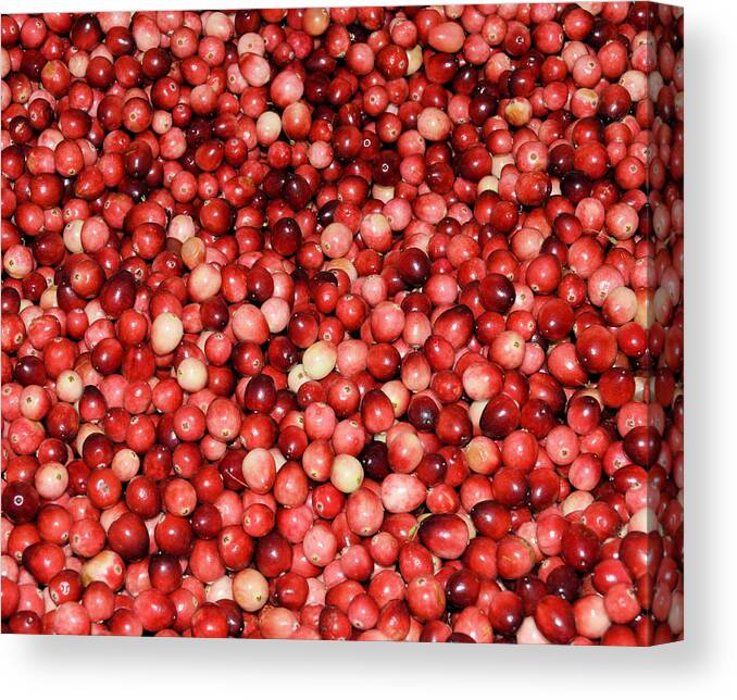 Food Canvas Print featuring the photograph Cape Cod Cranberries by Charles HALL