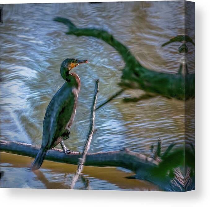 Artistic Canvas Print featuring the photograph Cormorant #c7 by Leif Sohlman