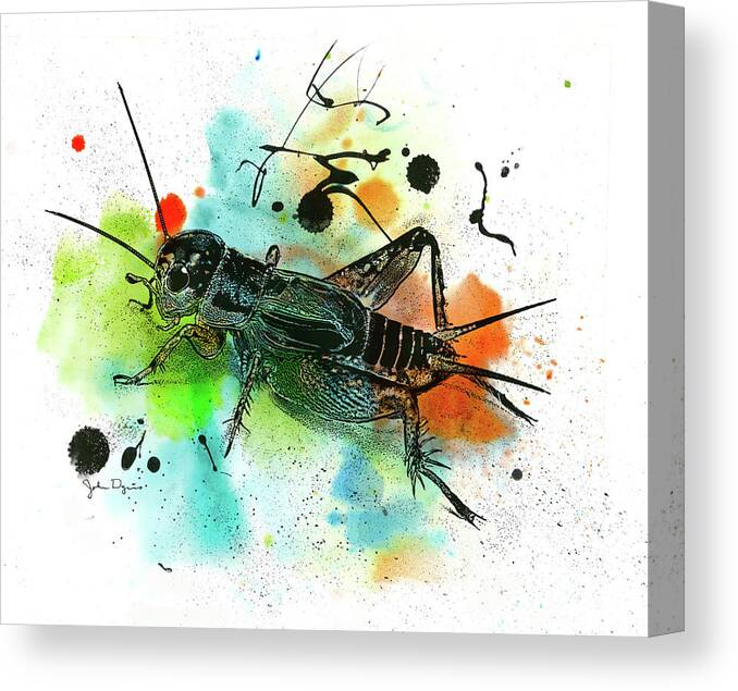 Cricket Canvas Print featuring the drawing Cricket by John Dyess