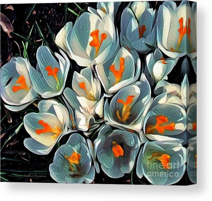Crocus Canvas Print featuring the photograph Crocus in the Shadows by Kathie Chicoine