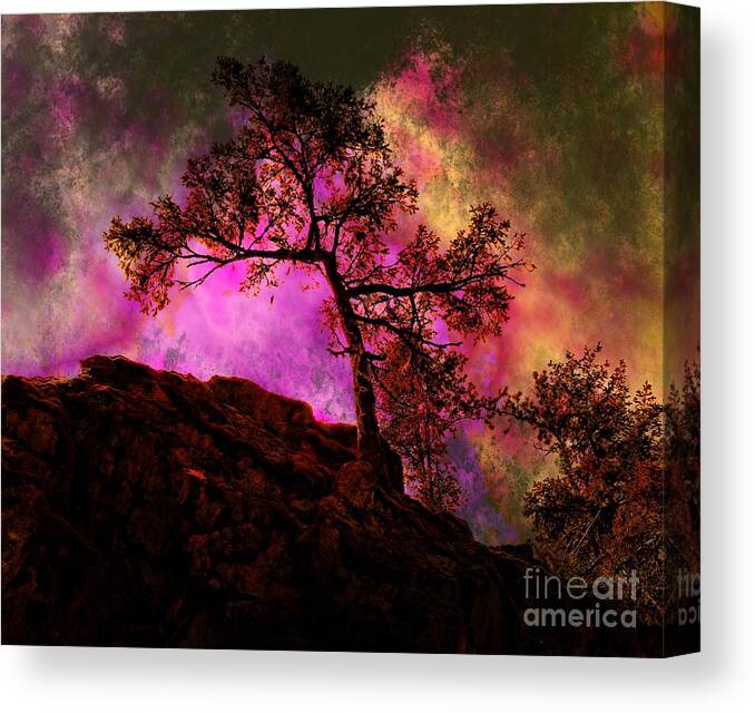 Tree Canvas Print featuring the photograph Enlightened Night by Sandra Peery