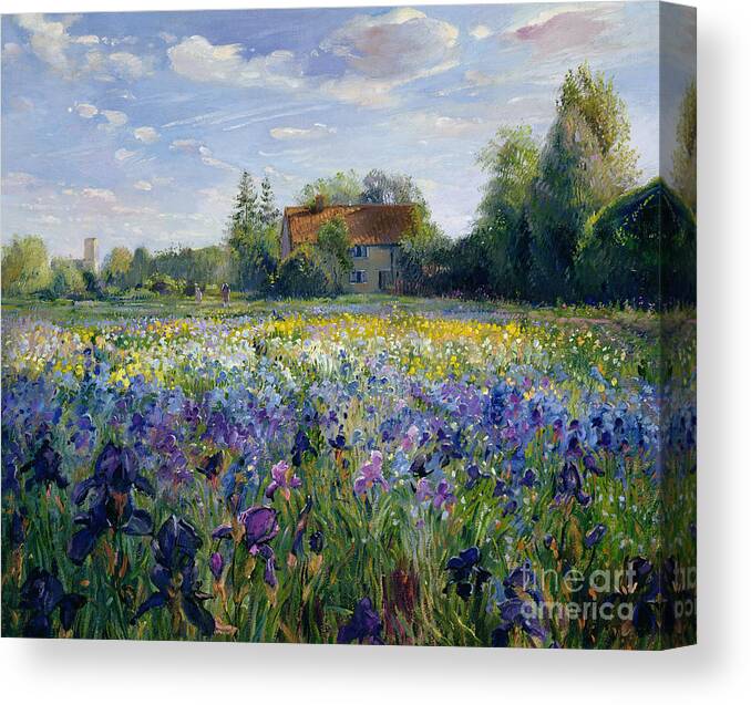 Landscape;market Gardening; Flowers; Horticulture;cottage; Summer; Rural; Irises; Landscapes Canvas Print featuring the painting Evening at the Iris Field by Timothy Easton