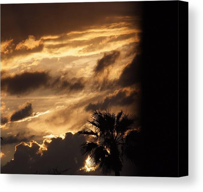 Sunset Canvas Print featuring the photograph Fading Light by Michael McGowan