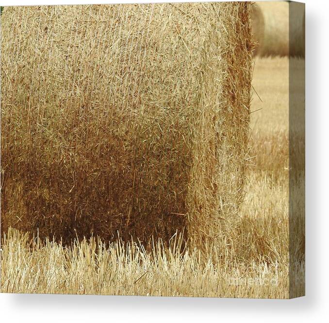 Hay Canvas Print featuring the photograph Fields Of Hay by Jan Gelders