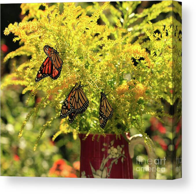 Goldenrod Flowers Photo Canvas Print featuring the photograph Flowers and Butterfies in Red Vase Photo by Luana K Perez