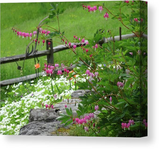 Floral Canvas Print featuring the photograph Garden Party by Catherine Arcolio