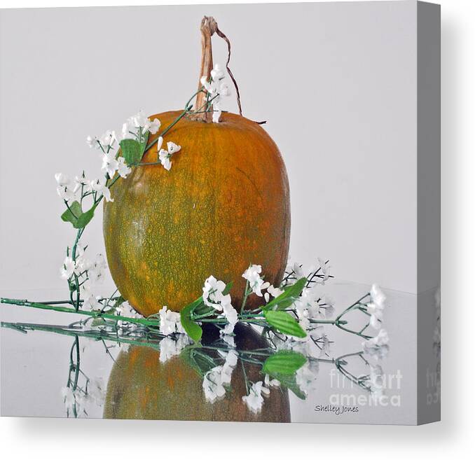 Photography Canvas Print featuring the photograph Harvest by Shelley Jones
