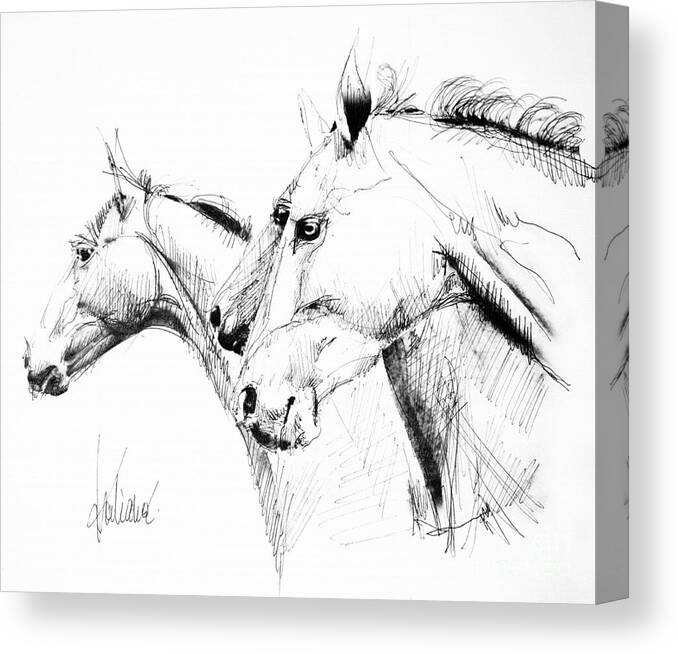 Horses Canvas Print featuring the drawing Horses - ink drawing by Daliana Pacuraru