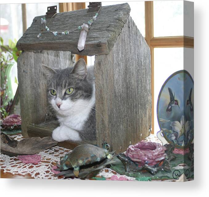 House Cat Canvas Print featuring the photograph House Cat by Bjorn Sjogren