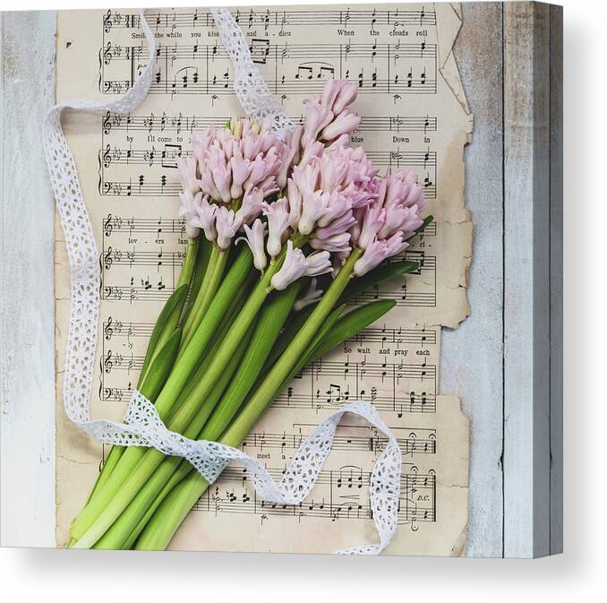 Hyacinth Canvas Print featuring the photograph I Can Hear Music by Kim Hojnacki