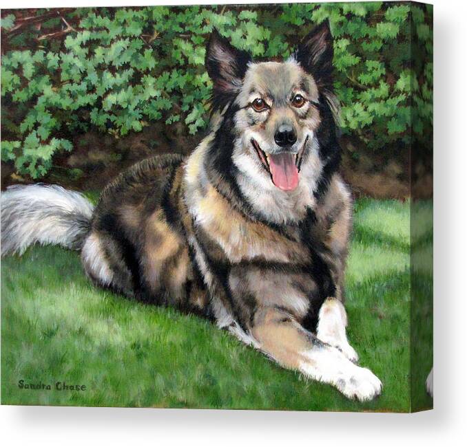 Dog Breeds Canvas Print featuring the painting Jake by Sandra Chase