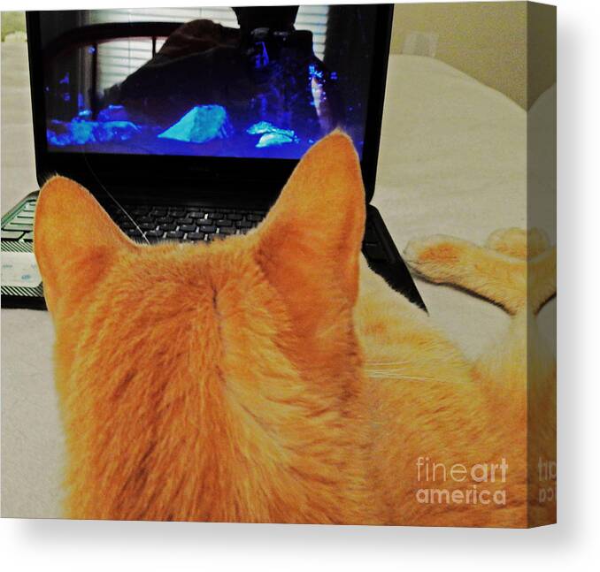 Feline Canvas Print featuring the photograph Laptop Cat by Jan Gelders