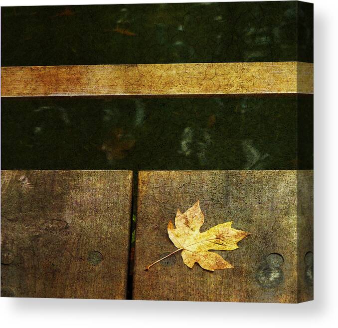 Fall Canvas Print featuring the photograph Leaf Zen K by Rebecca Cozart