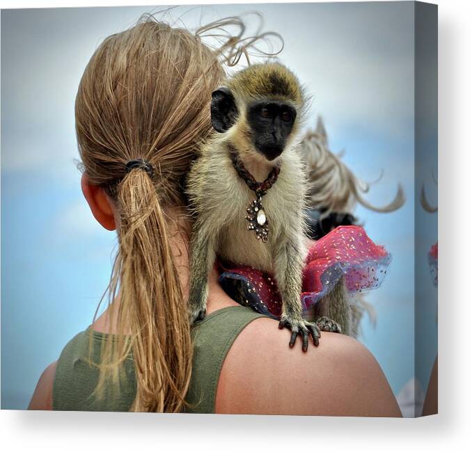 #monkey Canvas Print featuring the photograph Monkeying Around by Cornelia DeDona
