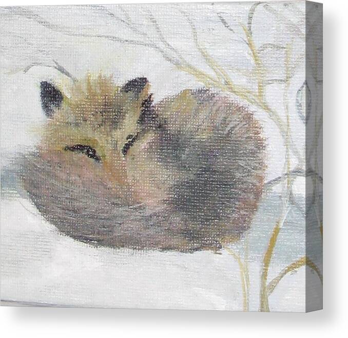 Fox Canvas Print featuring the painting Peek by Trilby Cole