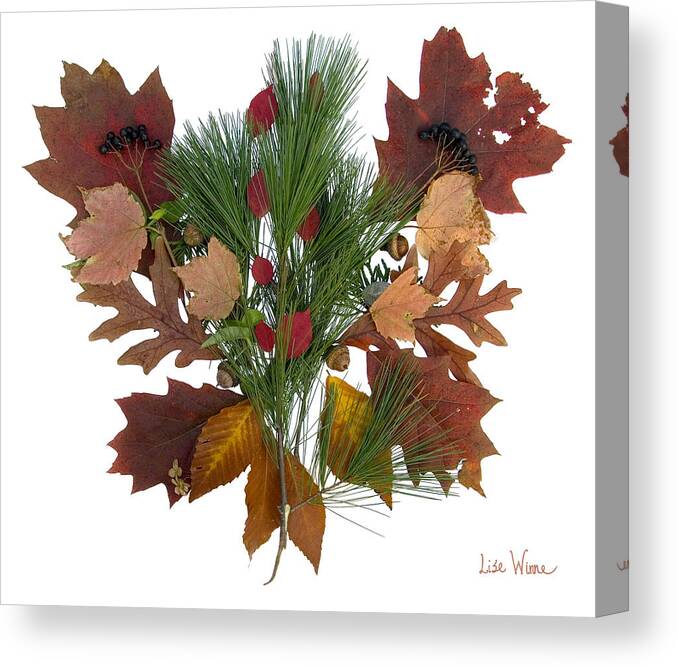 Lise Winne Canvas Print featuring the digital art Pine and Leaf Bouquet by Lise Winne