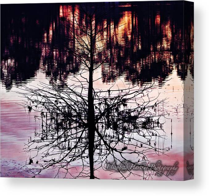  Canvas Print featuring the photograph Reflection Tree by Elizabeth Harllee