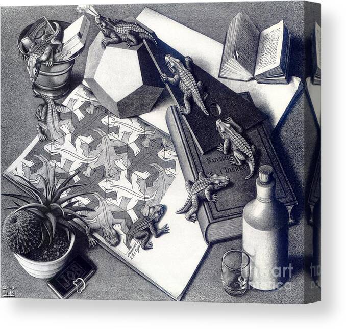  Canvas Print featuring the drawing Reptile by MC Escher