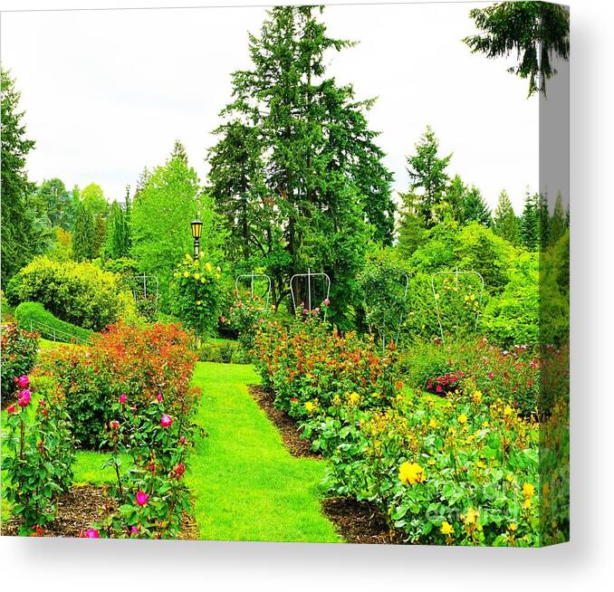 Rose Garden Canvas Print featuring the photograph Rose garden, Portland Oregon by Merle Grenz