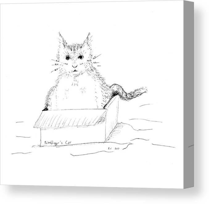 Cat Canvas Print featuring the drawing Schrodinger Cat by Regina Valluzzi