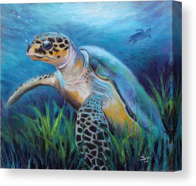 Sea Turtle Painting Canvas Print featuring the pastel Sea Turtle Cove by Susan Jenkins