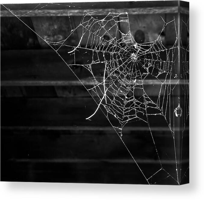 Web Canvas Print featuring the photograph Secrets in the Dark by Evelina Kremsdorf