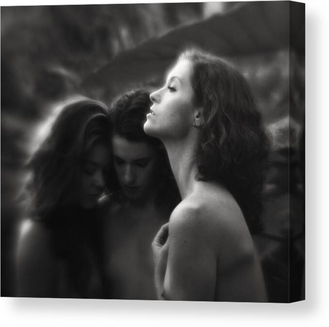 Bw Canvas Print featuring the photograph Soaking Up The Light by Mel Brackstone