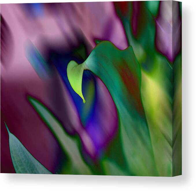Flower Photograpgy Canvas Print featuring the digital art Spring colors 1 by Evelyn Patrick