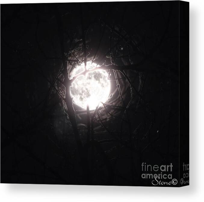 Night Canvas Print featuring the photograph The Last Nights Moon by September Stone