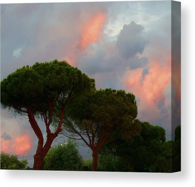 Sky Canvas Print featuring the photograph The Painterly Sky by Mafalda Cento