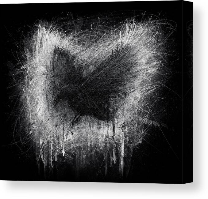 Raven Canvas Print featuring the drawing The Raven - Black Edition by Christian Klute