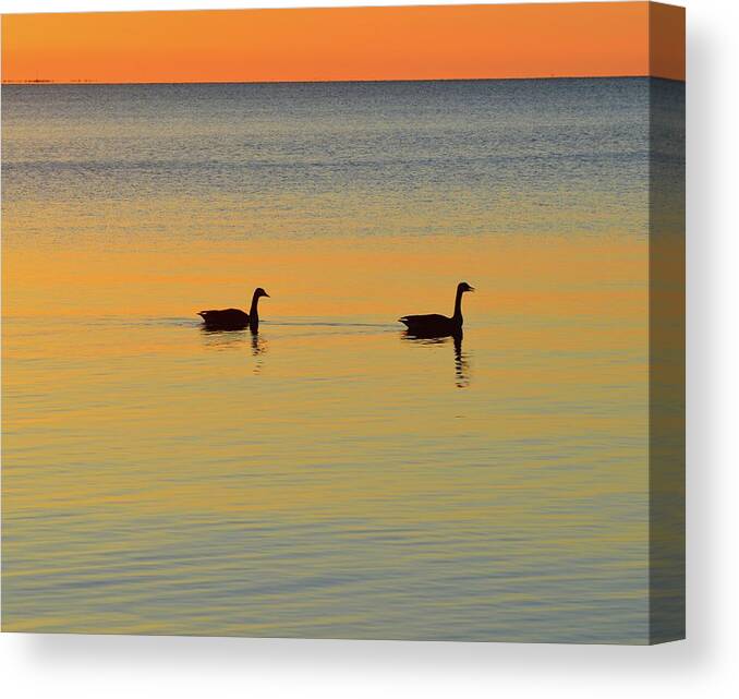 Abstract Canvas Print featuring the digital art Two Canadian Geese by Lyle Crump