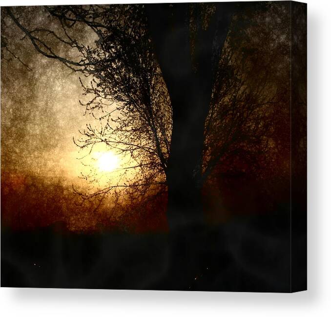 Landscape Canvas Print featuring the photograph Walk Quietly Into the Night with Me. by Julie Lueders 