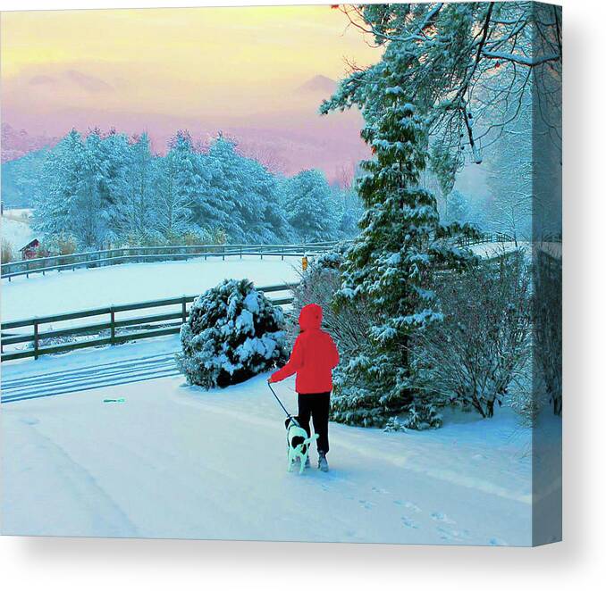 Winter Canvas Print featuring the photograph Walking The Dog by Rod Whyte