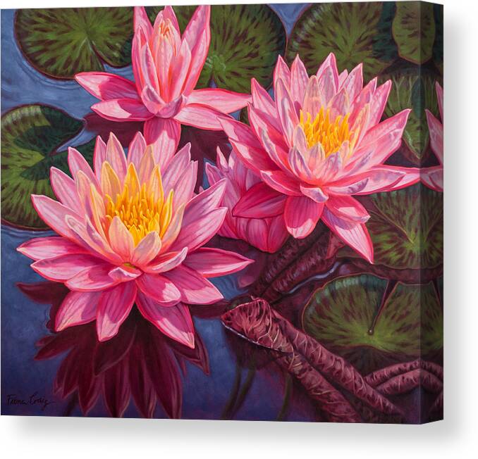 Fiona Craig Canvas Print featuring the painting Water Lilies 3 - Sunfire by Fiona Craig