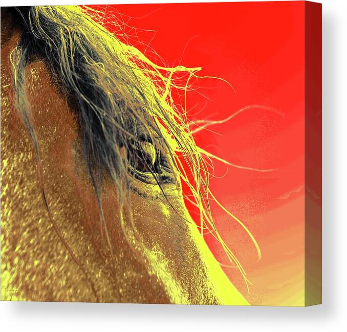 Horse Canvas Print featuring the photograph Whips Eye Electrified by Amanda Smith