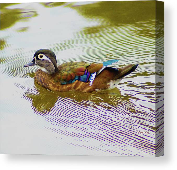 Wood Duck Hen Canvas Print featuring the photograph Wood Duck Hen by Kathy Kelly
