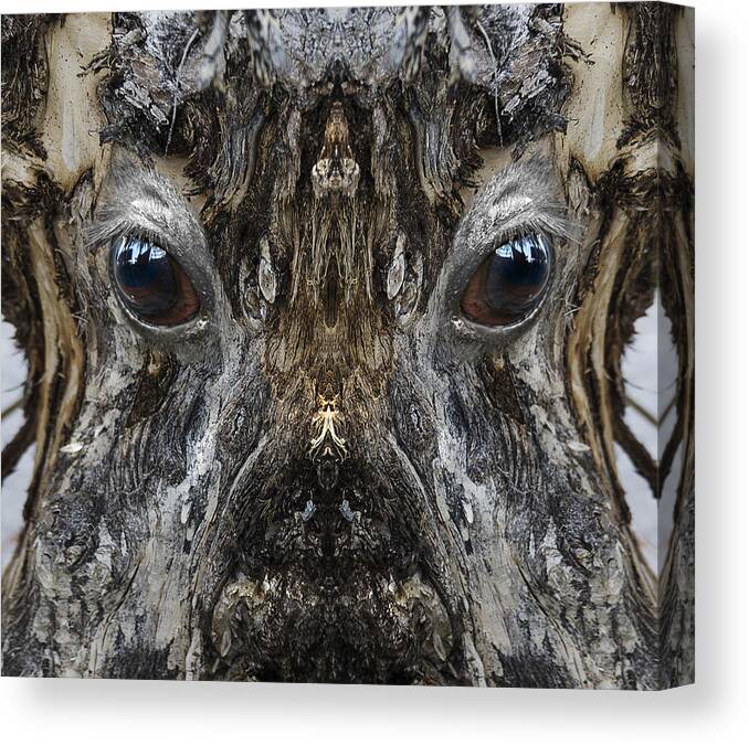 Wood Canvas Print featuring the digital art Woody 187 by Rick Mosher